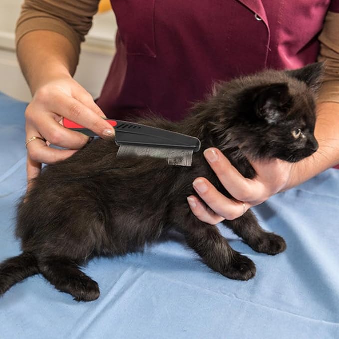 Cat Deshedding Brush With Massage Function ABS Cat Grooming Tool For Shedding Control And Coat Care Mini Pet Grooming Comb For Travel