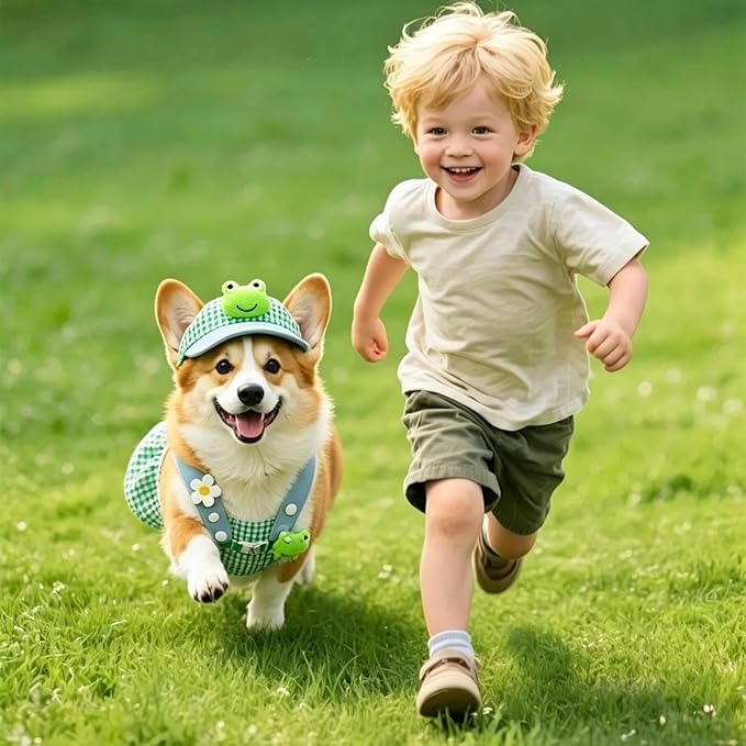 Genérico Pet Harness, Comfortable Accessory Kit with Hat | Harness Vest and Traction Leash Set, for Puppies Daily Outdoor Activities Including Shopping Running and Hiking
