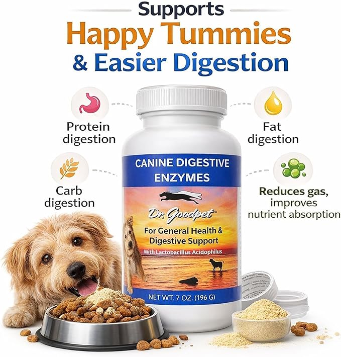 Dr. Goodpet Canine Digestive Enzymes Powder for Dogs – Supports Healthy Digestion, Gas Relief & Nutrient Absorption – Human-Grade Enzymes (Protease, Amylase & Lipase) – 7oz Digestive Supplement