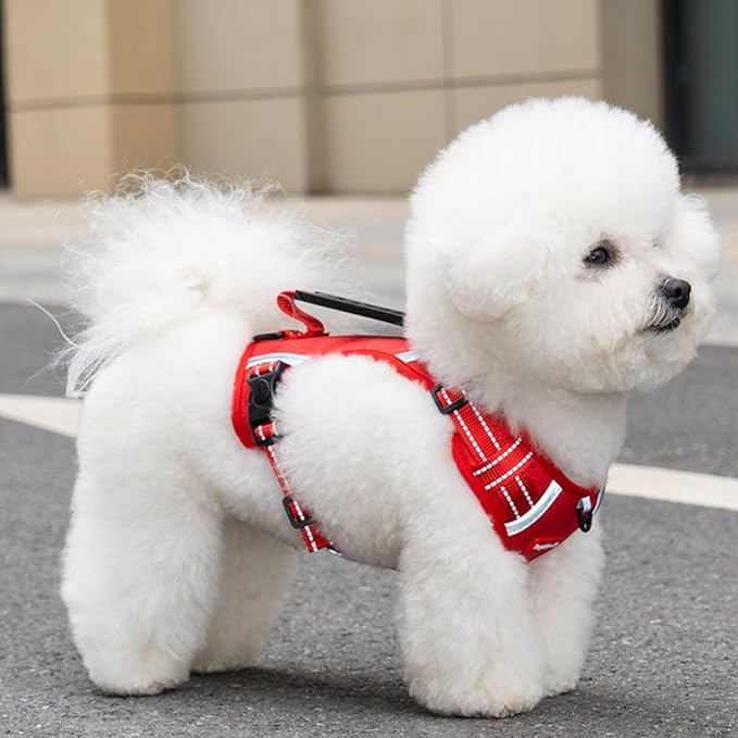 Dog Vest Harnesses Pet Strong Training Walking Swimming Supplies Soft Handle Training Vest Dog Vests for Small Dogs