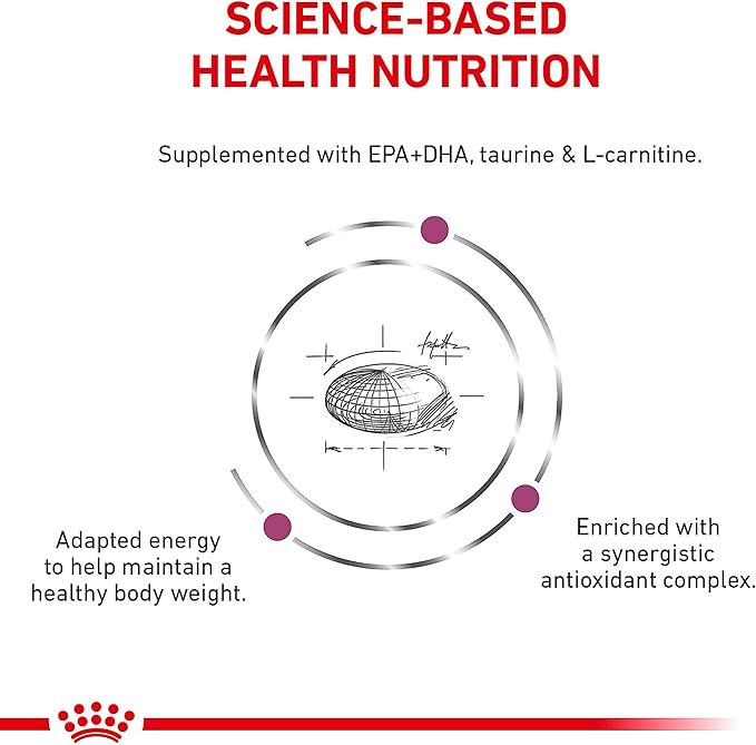 Royal Canin Veterinary Diet Canine Renal Support D Adult Thin Slices in Gravy Dog Food, 13 oz (Pack of 24)