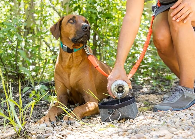 Stunt Puppy Dog Collar, Fi Series 3 and 3+ Ready, Large, Red - Compatible with Fi GPS Device (Not Included)