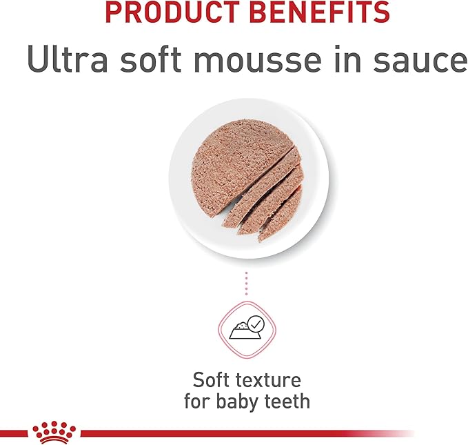 Royal Canin Feline Health Nutrition Mother & Babycat Queen Ultra Soft Mousse in Sauce Cat Food, 5.1 oz (Pack of 24)