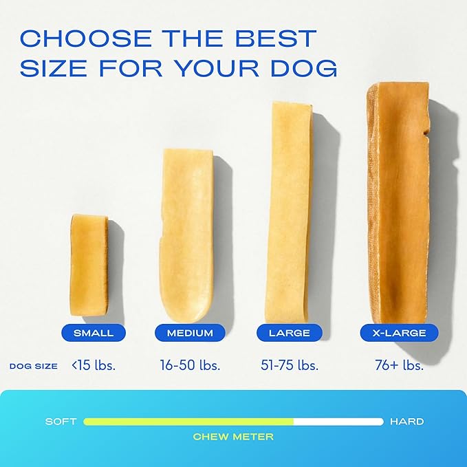 Native Pet Beef Bone Broth for Dogs (9.5 oz) & Yak Chews for Dogs (3 Count XL) - Food Topper for Picky Eaters and All Natural Dental Sticks Made with Yak Cheese for Aggressive Chewers
