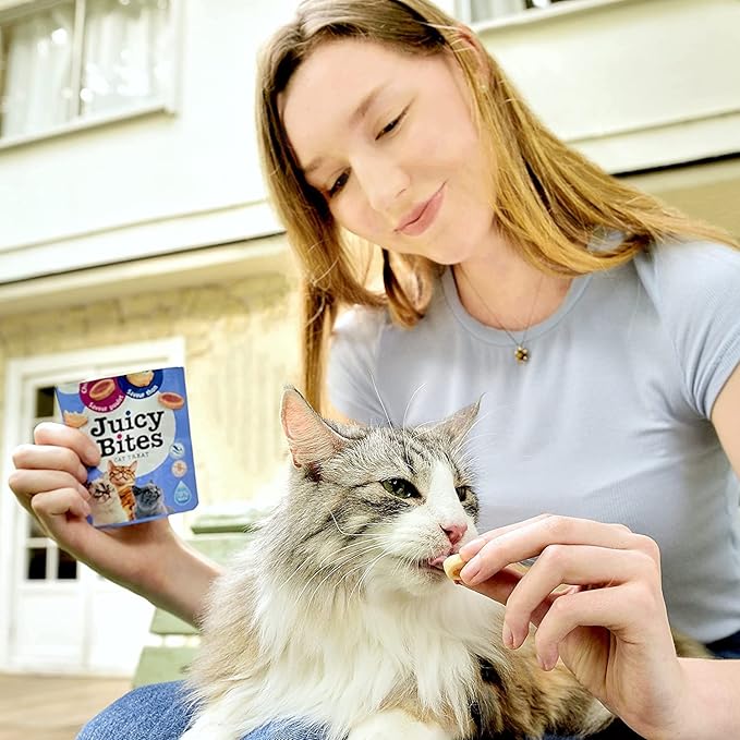 INABA Juicy Bites Grain-Free, Soft, Moist, Chewy Cat Treats with Vitamin E and Green Tea Extract, 0.4 Ounces per Pouch, 3 Pouches Total, Scallop and Crab Flavor