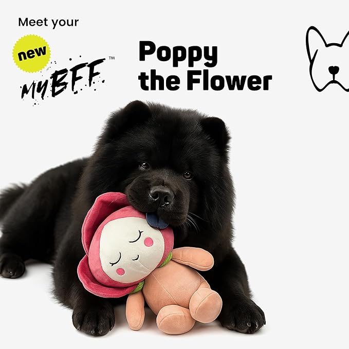NANDOG My BFF Poppy The Flower Plush Dog Toy – Soft Squeaky Pet-Only Toys for Dogs & Cats – Durable, Cuddly & Adorable Pet Companions for Playtime, Fetch & Snuggles
