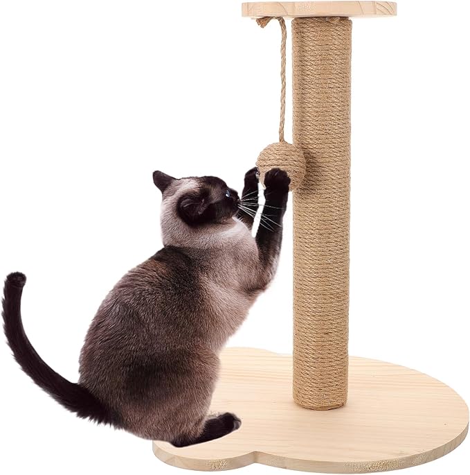 BESPORTBLE Sisal Cat Scratching Post and Vertical Cat Climber with Wear-Resistant Pole for Indoor Kitten Play and Exercise
