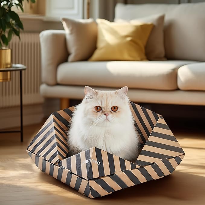 PETNOVO Foldable Cat Bed & House for Travel – Origami Cardboard Cat House with Built-in Honeycomb Scratcher Pad, No-Tools Assembly, FSC-Certified Recyclable, Black, 18.5" L x 18.5" W x 11.8" H
