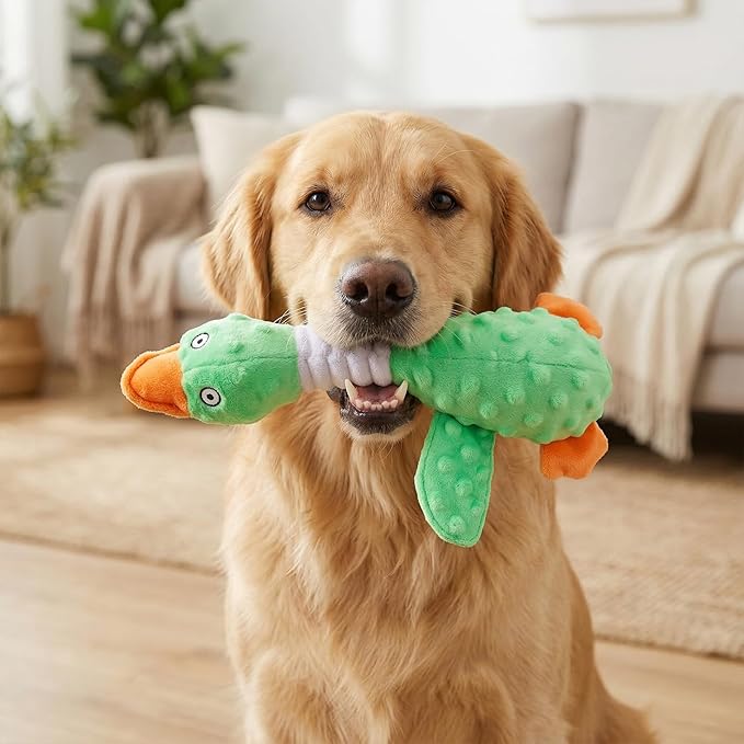 Goose Dog Toy Soft Stuffed Animal Plush Dog Puppy Chew Toys to Keep Them Busy Pet Supplies for Chewers Small Medium and Large Breeds (Green)