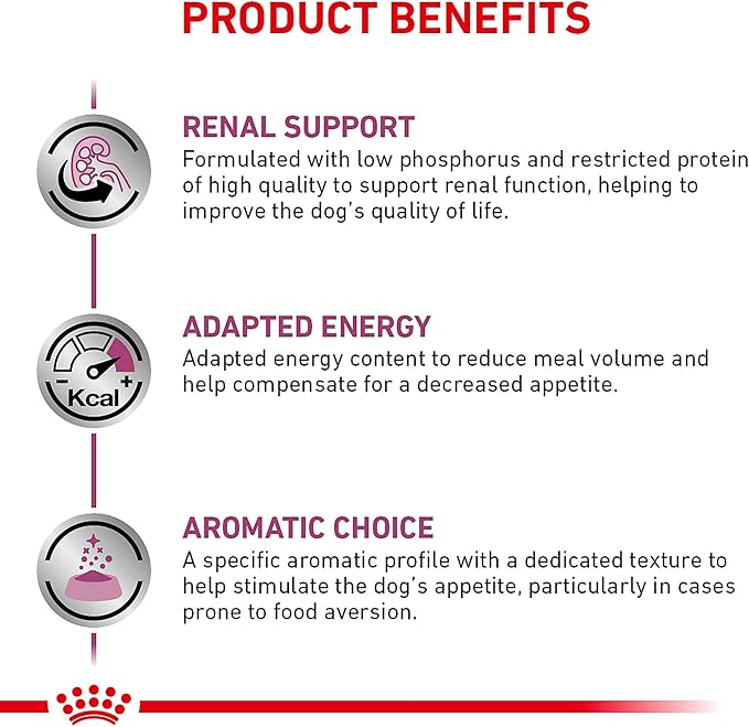 Royal Canin Veterinary Diet Canine Renal Support D Adult Thin Slices in Gravy Dog Food, 13 oz (Pack of 24)