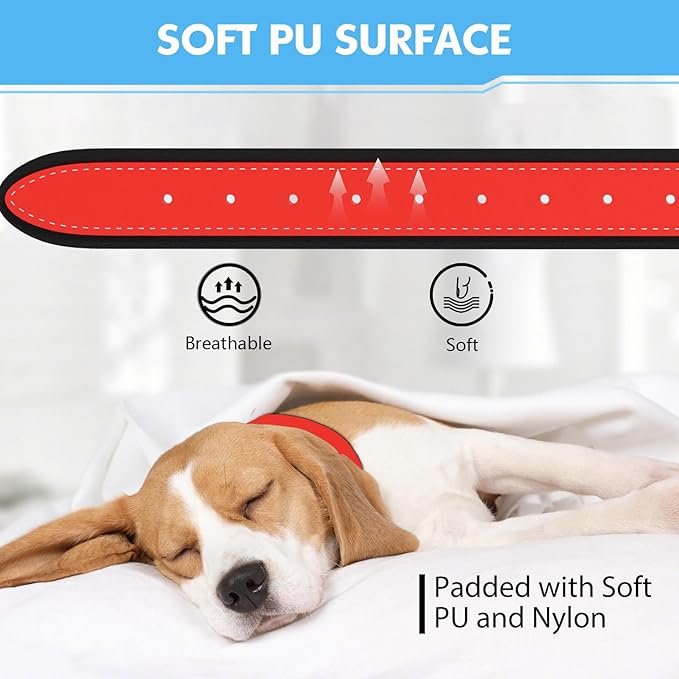 GPS Tracker for Dogs, 2 in 1 Pet Tracking Smart Collar (Only iOS), No Monthly Fee GPS Tracker Dog Collar, Real-time Location Comfortable PU Tracker Tag for Small, Medium Large Dogs(Locator Included)