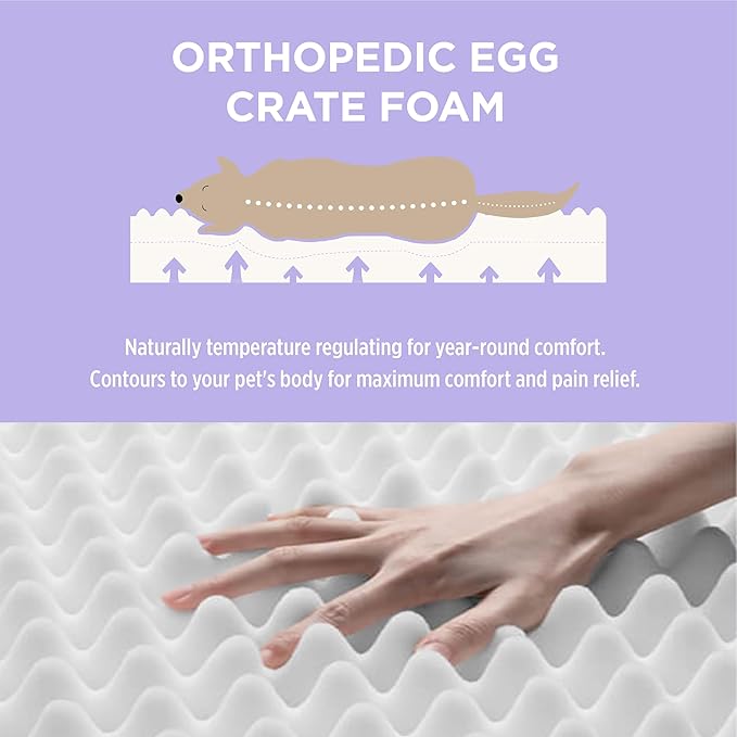 LE SURE Outdoor Waterproof Dog Bed for Extra Large Dogs, XXL Orthopedic Egg Crate Foam Pet Bed with Oxford Fabric Surface and Removable Washable Cover, Pet Mat 48''x30'', Green