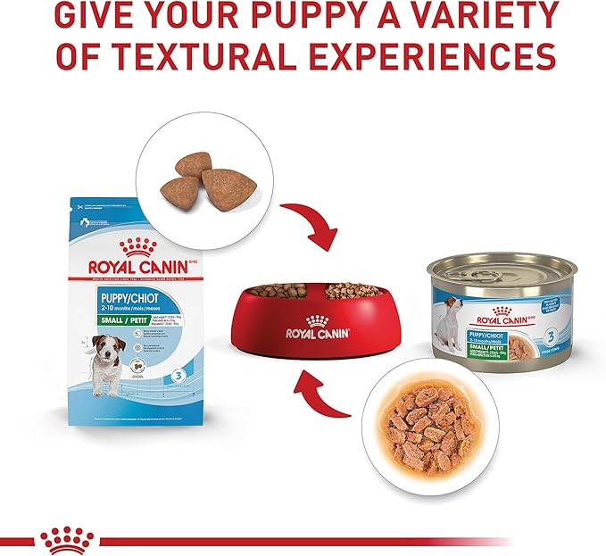 Royal Canin Size Health Nutrition Small Puppy Thin Slices in Gravy Dog Food, 5.1 oz (Pack of 24)