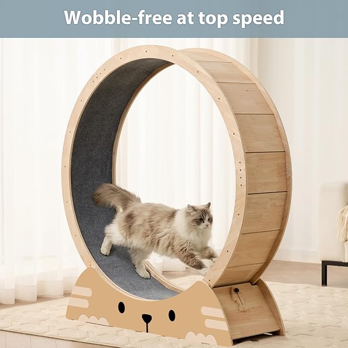 RRPETHOME 48" Cat Wheels for Indoor Cats, Quiet & Stable Cat Exercise Running Wheel, Cats Treadmill with Anti-Slip Mat