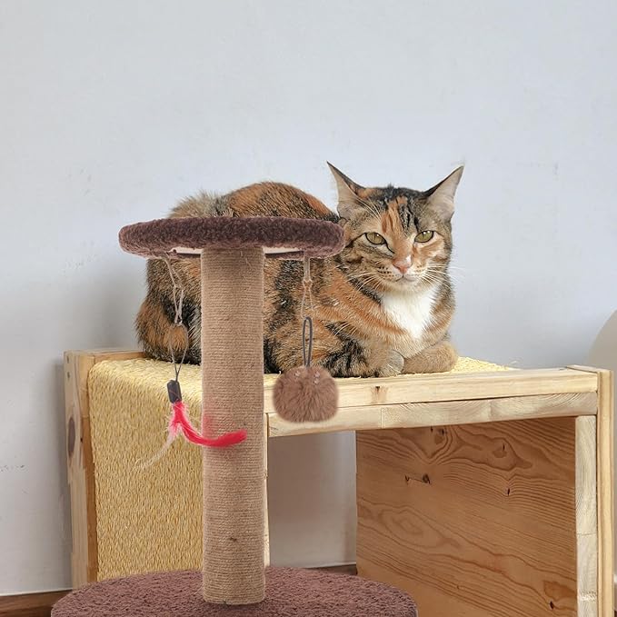 Cabilock Cat Scratching Post and Kitten Scratcher Pole with Natural Sisal Rope, Multifunctional Household Scratching Furniture for Indoor Cats, Sturdy Brown Round Claw Scratcher for Daily