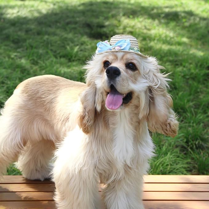 Pet Straw Hat Outdoor Sunbonnet Supplies Flower Lace Puppy with Ribbon Bow Flower Pet