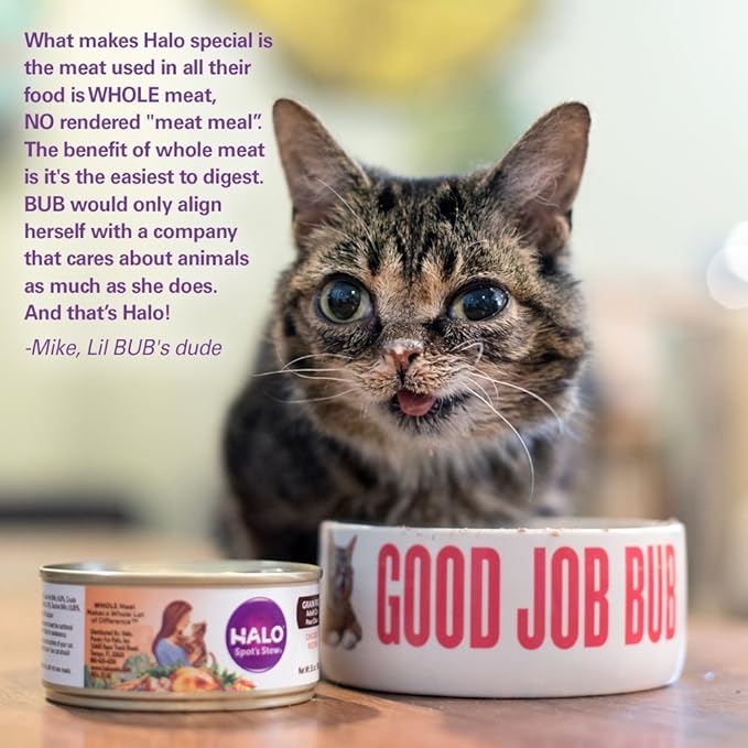 Halo Grain Free Soft Pate, Adult Cat Wet Food, Chicken in Broth Recipe, 5.5 oz, Case of 12