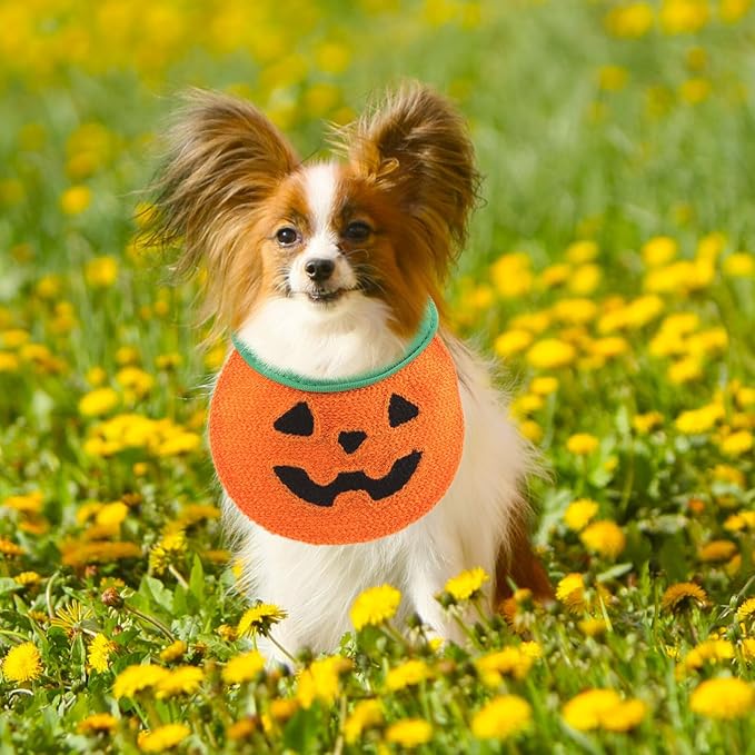DOITOOL Halloween Pumpkin Dog Bandana Tie-on Pet Bandana Bib for Dogs Under 15 Lbs Comfortable Cotton Material for Halloween Party and Holiday Pet Supplies