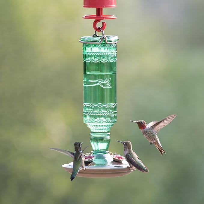 Perky-Pet Glass Bottle Hummingbird Feeder - Outdoor Garden Décor Humming Bird Feeder,8108-1SR - 10 Fl Oz Nectar Capacity - Durable Green Antique Design - Hang from Tree,Porch,Deck,Hook,(Pack of 6)