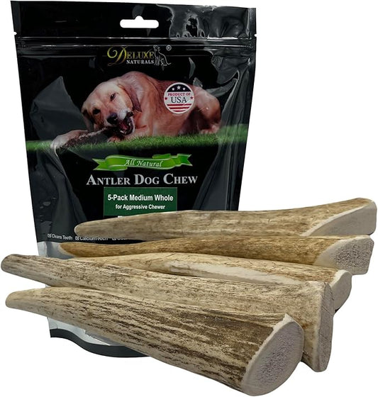 5-Pack Medium Whole Elk Antler Dog Chews, 5.5-8+ Inches, Long-Lasting Natural Dog Chews for Aggressive Chewers, Teeth Cleaning Antler Treats for Dogs Under 40 lbs