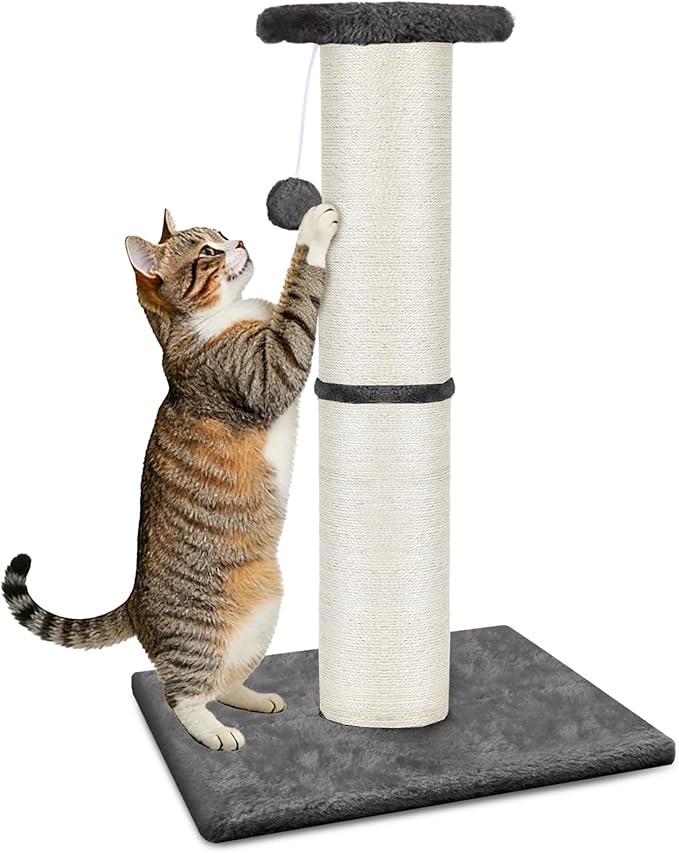 PAWSCRAT Cat Scratching Post 32" Tall, Large Diameter Natural Sisal Cat Scratch Post with Dangling Ball, Scratch-Resistant and Durable Tall Cat Scratcher for Indoor Cats, Protect Your Furniture, Grey