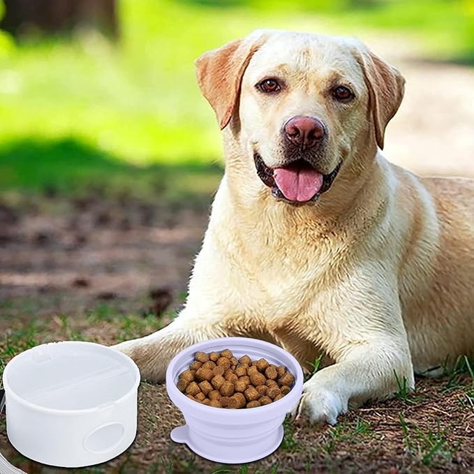 Portable Dog Accessories, Feeder Dish Puppy Bowls, Pet Feeding Station for Puppies Dogs and Kittens, Cat Bowl, Pet Supplies, Cat Feeder, Indoor Outdoor Feeding Kitten Bowls