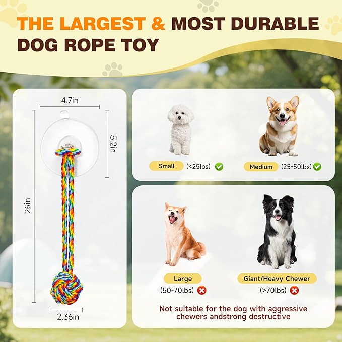 Interactive Tug-of-War Dog Toy with Strong Gel Suction Cup,Cotton Tug Rope,Puppy Teething Toy,Indestructible Chew Toy for Aggressive Chewers,for Small to Medium Dogs，Rainbow Colors