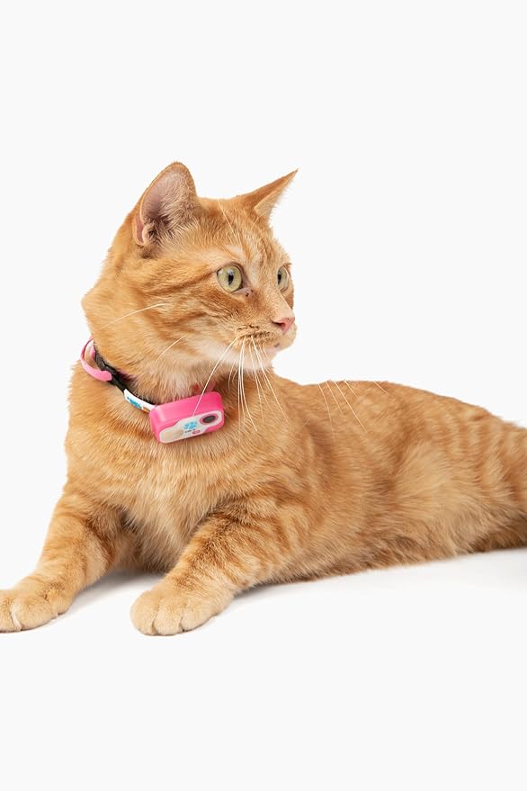 MS-5 Automatic Pet Door Collar, Genuine High Tech Pet Brand Dog Collar for Power Pet Doors - Designer Series, Waterproof, Battery Included (Pink, Cat)
