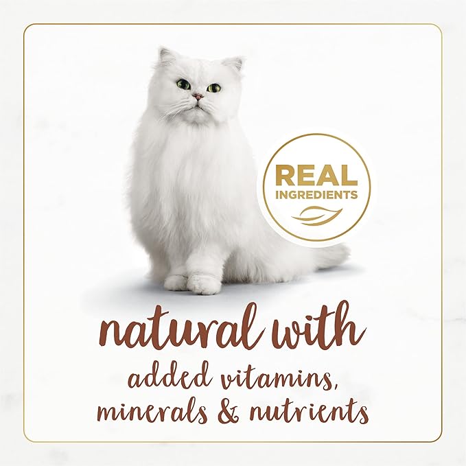 Fancy Feast Purina Wet Cat Food Natural Gourmet Naturals Beef Recipe in Wet Cat Food Gravy - 3 oz. Cans,(Pack of 24)