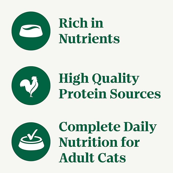 Nutro Perfect Portions Wet Cat Food Cuts in Gravy Chicken Recipe, Cat Food Wet Recipe, 2.64 oz. Twin-Pack Trays (24 Count)