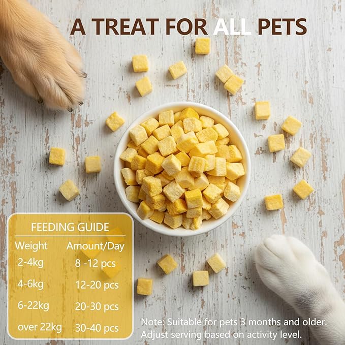 Freeze Dried Pumpkin Dog & Cat Treats, Single Ingredient Natural Pumpkin Snacks, High Fiber Digestive Support, Grain Free Healthy Pet Training Treats & Food Topper 3.5 oz