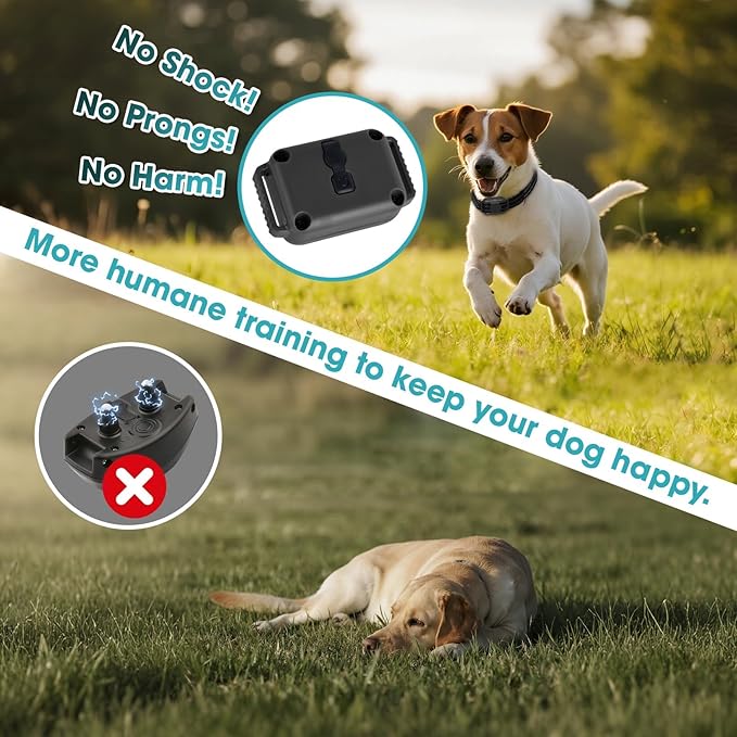 Lightweight No Shock Dog Training Collar, 2000ft Remote Control, Ultra-Small Vibrating Collar for Small (5-15lbs), Medium & Large Dogs, Safe Lock, Beep/Vibrate Modes, Prong-Free, Waterproof,Black