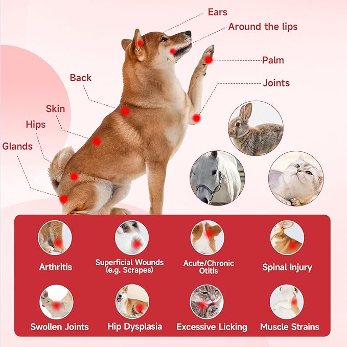 5000mAh Cold Laser Therapy Device for Dogs with 3 Levels, 5 * 808nm & 10 * 650nm Vet Laser Treatment for Joint with Magnetic Cover, Pets NIR Infrared Red Light Therapy for Cats Horse Pain Relief