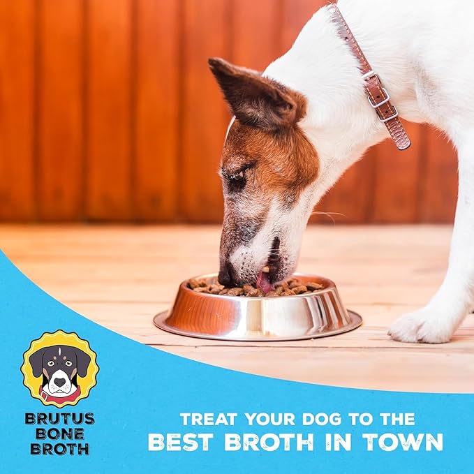 Brutus Broth for Dogs - All Natural Bone Broth for Dogs with Chondroitin Glucosamine Turmeric -Human Grade Dog Food Toppers - Beef and Chicken Bundle