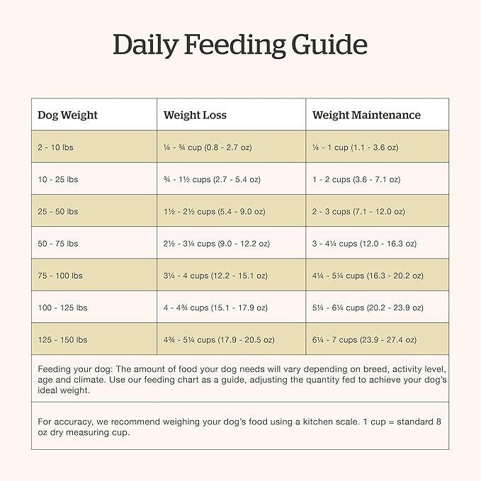 Now Fresh Grain-Free, Dry Dog Food, Real Trout, Salmon and Herring Adult Recipe, All Breed Size, 22 lb Bag