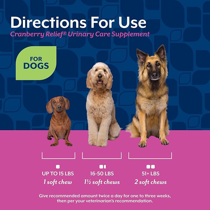 NaturVet – Cranberry Relief Plus Echinacea – Helps Support a Healthy Urinary Tract & Immune System – 60 Soft Chews