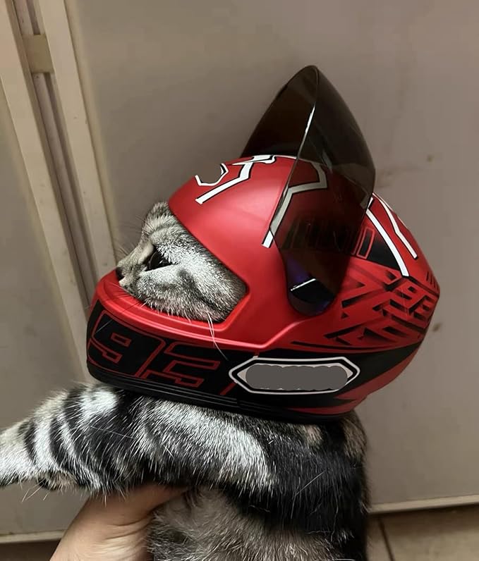 Pet Motorcycle Helmet Dog/Cat Full Face Motorcycle Helmet Outdoor Motorcycle Bike Riding Helmet Hat for Cat Dog Doggie Puppy Kitten Pet Supplies Racing Car Fan Collectible Small Gift (Red93)