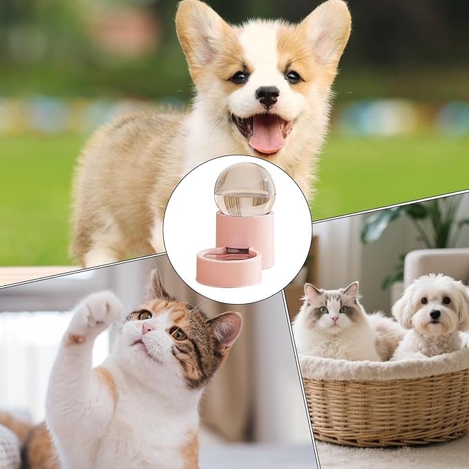 Automatic Pet Feeder - Large Capacity Dog Food, Water Dispenser Bowl Feeding System Reliable Continuous Supply Design for Controlled Portion Support for Puppies and Small to Medium