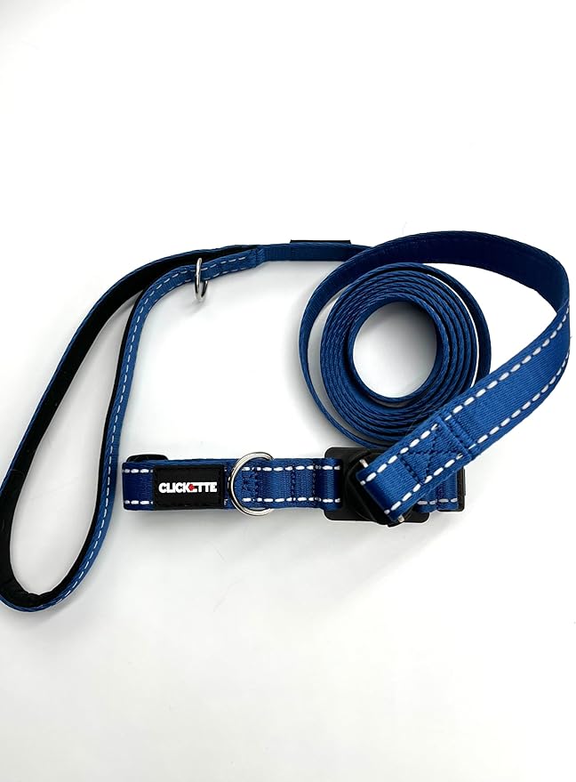Clickette- Magnetic Quick-Lock Collar & Leash (Bue, Small)