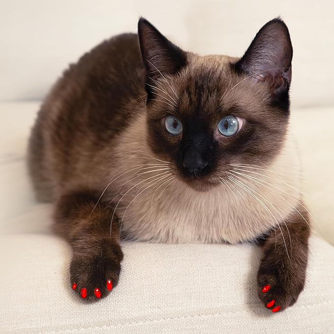 Soft Claws Safe Scratch-Free Solution for Cats - CLS (Cleat Lock System), Size: Small, Color: Gold Sparkle