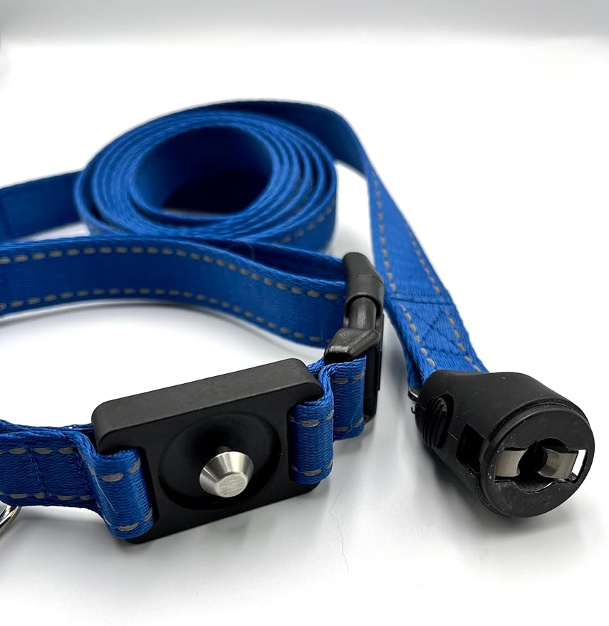 Clickette- Magnetic Quick-Lock Collar & Leash (Bue, Medium)