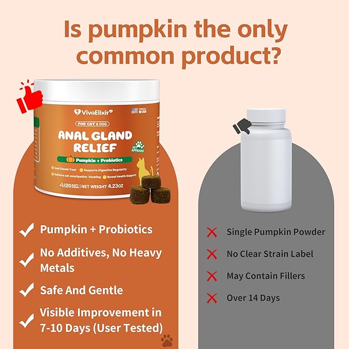 Constipated Cat - Pumpkin + Probiotic Soft Chews - Promotes Digestive Health, Regular Bowel Movements, and Intestinal Balance | Veterinarian-Approved, 120 Chewable Tablets