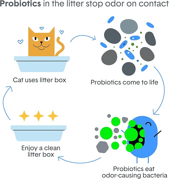 Boxie® Probiotic Cat Litter, Lightweight 40-Day Odor Control, Clumping, 11.5lb