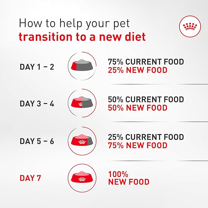 Royal Canin Breed Health Nutrition French Bulldog Wet Dog Food for Adult Dogs, Loaf Wet Food for French Bulldogs 12 Months+, Supports Digestive Health and Bone & Joint Health, Multipack 6 x 3 oz cans