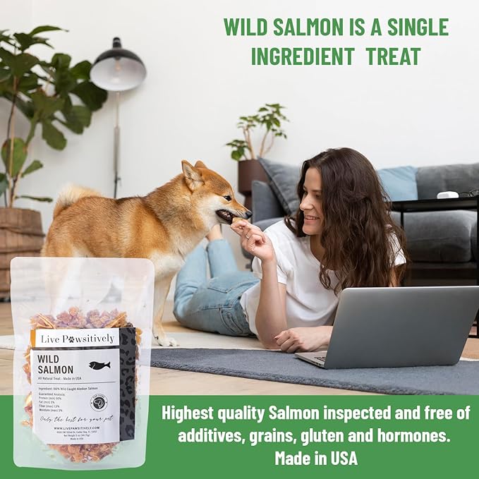 All-Natural Treat for Dogs & Cats, Single Ingredient, Picky Eaters, Grain & Gluten Free, Freeze Dried Wild Salmon, No Preservatives, Made in USA