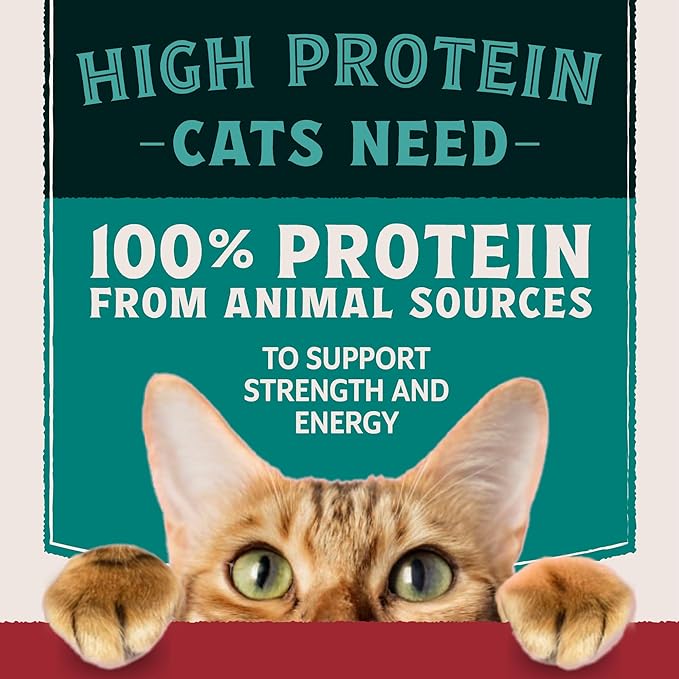 Natural Balance Ultra Protein Wet Cat Food, Chicken Recipe with Quail Egg in Broth, 2.8 oz (Case of 12)