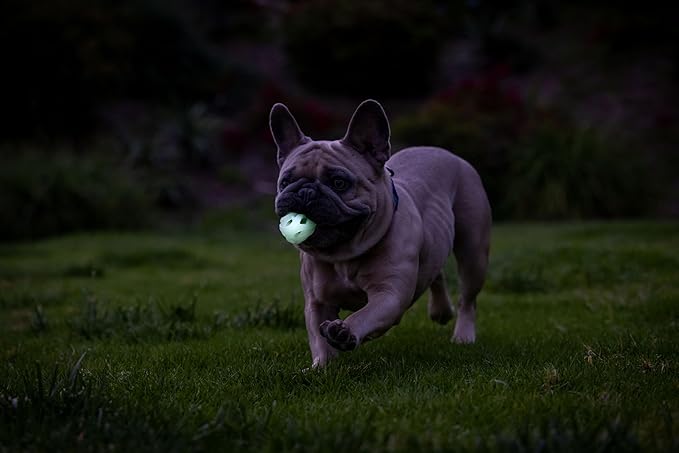 Chuckit! Air Glow Fetch Ball Dog Toy, Small (2 Inch) Pack of 2, for Breeds 0-20 lbs