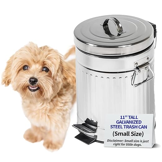 Pet Fit For Life - Steel Trash Can with Lid, Steel Galvanized Trash Can, Step Foot Pedal, Plastic Inner Lining, Custom Liner Bags, Weather-Resistant Outdoor Bin for Yard, 16" Tall, 5L/1.3 Gallons