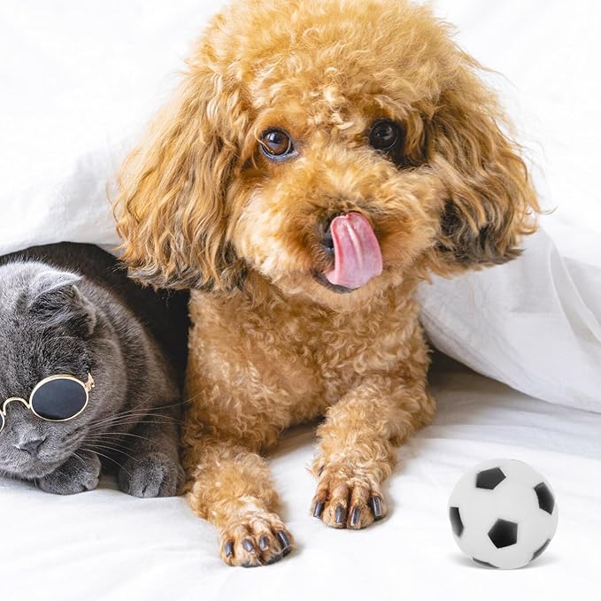 4pcs Interactive Squeaky Football Dog Rubber Bite Training Balls for Puppies Outdoor Chewing Play Pet Supplies