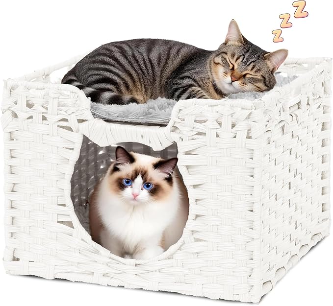 Handwoven Rattan Cat Cave w/Two Cushions, Cat Beds Indoor Kitten House, Waterproof & Foldable Pet Cube Bed, White, 16.5”L x 16.5”W x 12.6”H